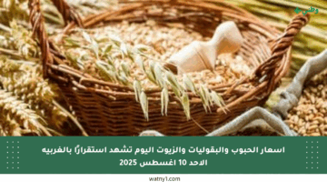 أسعار الحبوب والبقوليات والزيوت اليوم تشهد استقرارًا بالغربية الأحد 10 أغسطس 2025